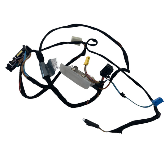 2000-2006 Mercedes-Benz S500 Rear Left Side Door Wiring Harness Cable DB2MO53132