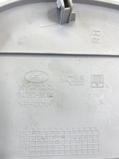 2006-2008 HYUNDAI SONATA RIGHT PASSENGER DASH END CAP TRIM COVER 84767-3K100 OEM