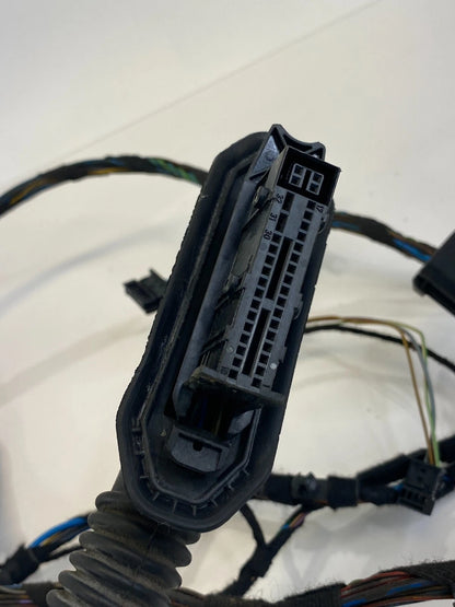 2007-2013 BMW X5 REAR LEFT DRIVER SIDE DOOR WIRING LOOM WIRE HARNESS 6937280 OEM