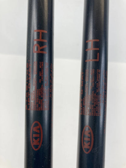 2005-2010 KIA SPORTAGE TAILGATE TRUNK LIFT CYLINDER STRUT SUPPORT SHOCK PAIR SET