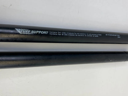2012-2019 FIAT 500 HATCHBACK REAR TRUNK LIFTGATE SUPPORT SHOCK STRUTS PAIR OEM