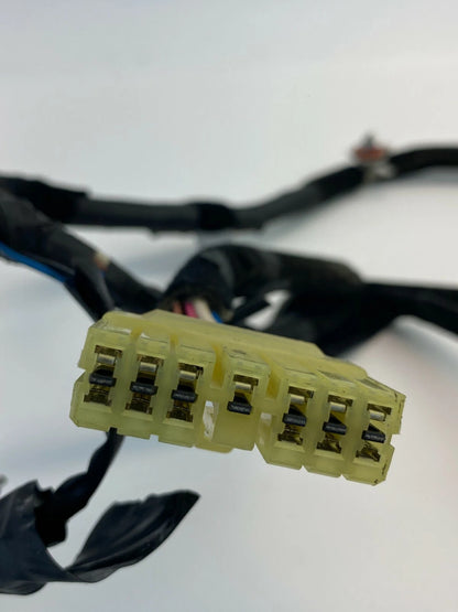 2004-2006 KIA AMANTI REAR RIGHT SIDE DOOR PANEL WIRE WIRING HARNESS 91660-3F011