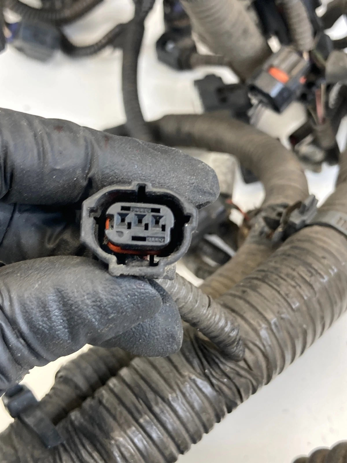 2007 2008 LEXUS GS350 3.5L AWD ENGINE LOOM WIRE WIRING HARNESS 82121-30D41