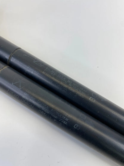 2008-2012 JEEP LIBERTY REAR TAILGATE TRUNK LIFT GLASS STRUTS SHOCK SUPPORT OEM