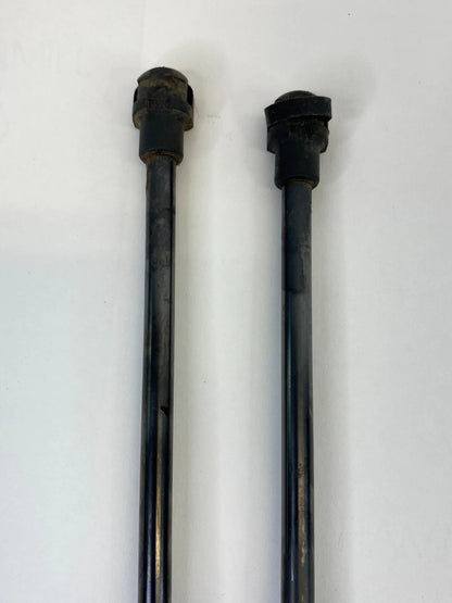 2012-2019 FIAT 500 HATCHBACK REAR TRUNK LIFTGATE SUPPORT SHOCK STRUTS PAIR OEM