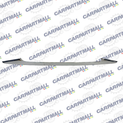 2011-2014 HYUNDAI SONATA REAR TRUNK LICENSE PLATE MOLDING TRIM GARNISH PANEL OEM