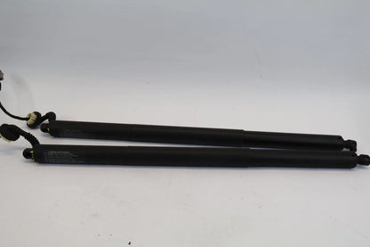 2020-2024 FORD EXPLORER LIFTGATE POWER SUPPORT STRUT CYLINDER SET 2 LB5B-S402A55