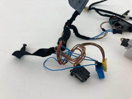 2000-2006 MERCEDES-BENZ S500 RR RIGHT PASSENGER DOOR WIRE HARNESS OEM 2205404508