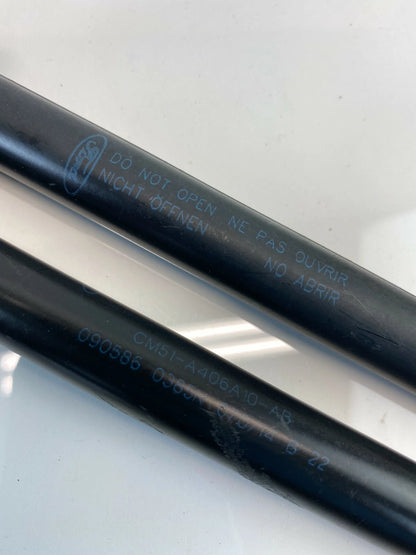 12-18 FORD FOCUS HATCH REAR TRUNK LIFT LEFT RIGHT STRUT SHOCK LIFT SUPPORT SET
