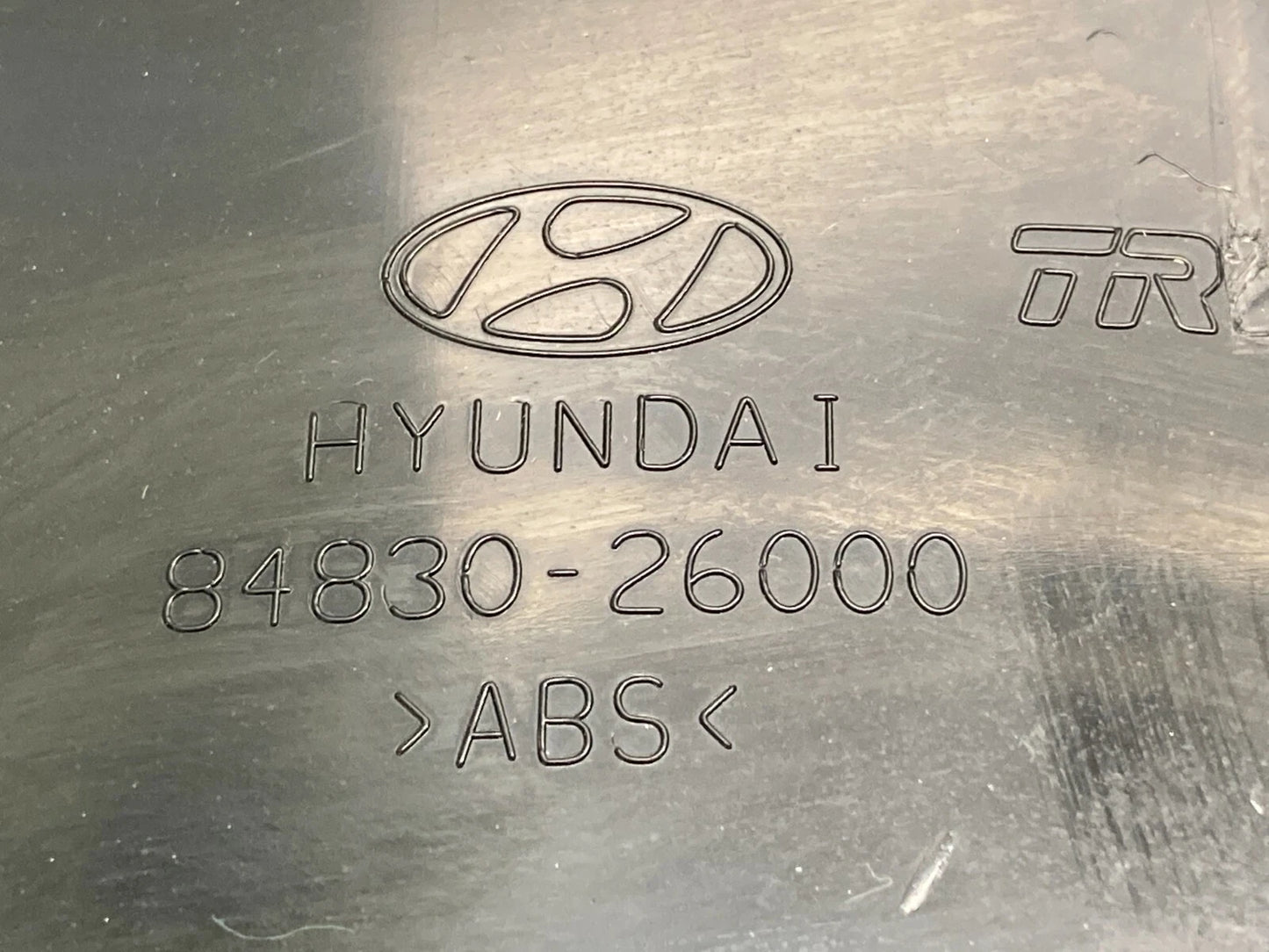 2001-2004 HYUNDAI SANTA FE DASH INSTRUMENT CLUSTER SPEEDOMETER BEZEL TRIM OEM