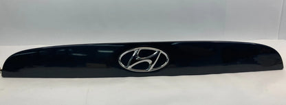2006 2007 HYUNDAI ACCENT REAR LIFTGATE TAILGATE LICENSE MOLDING W/ EMBLEM & LAMP