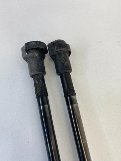 04-10 BMW X3 REAR TRUNK HATCH LIFT SUPPORT CYLINDER SHOCK STRUT SET 51243400379