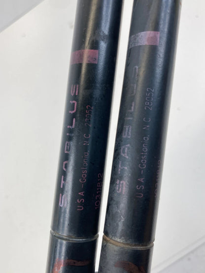 2000-2007 CHEVROLET MONTE CARLO REAR TRUNK LIFT SUPPORTS STRUTS SHOCKS SET PAIR