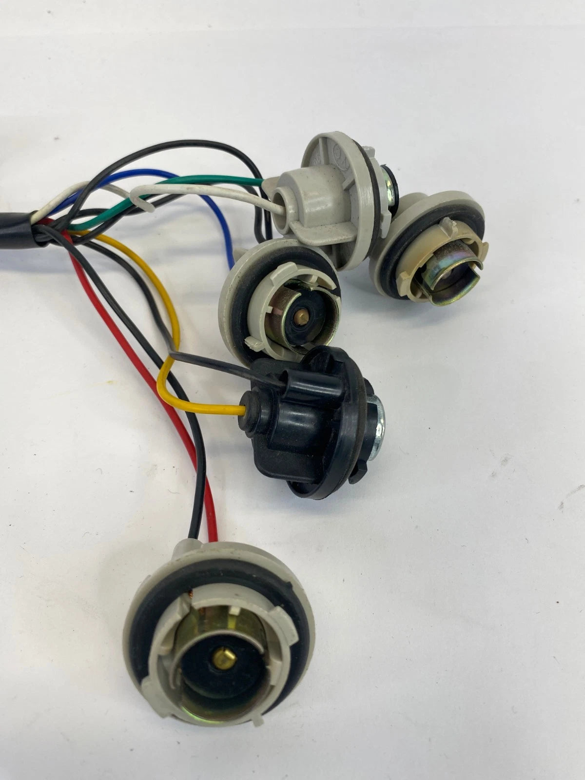 1999-2005 VOLKSWAGEN JETTA REAR TAILLIGHT BULB SOCKET WIRING HARNESS PIGTAIL OEM