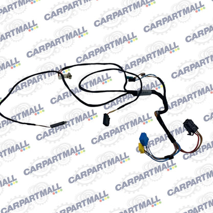 00-06 MERCEDES-BENZ S500 REAR RIGHT SIDE DOOR LIGHT WIRING HARNEESS 2205404508