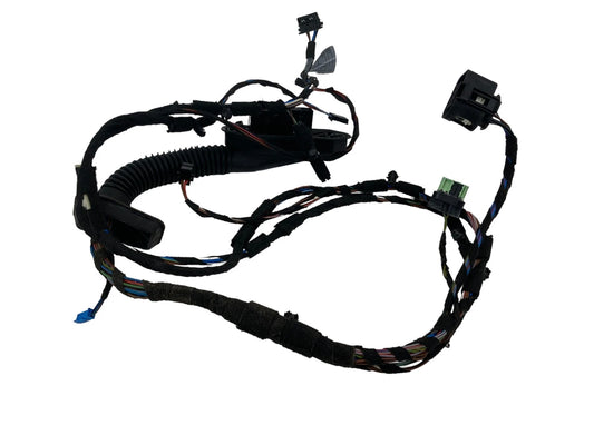 2006 BMW 330I FRONT RIGHT PASSENGER SIDE DOOR WIRE WIRING HARNESS 698641 OEM