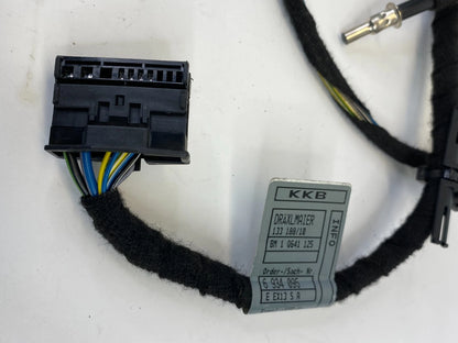 2002-2005 BMW 745I 745LI REAR RIGHT DOOR PANEL WIRING LOOM HARNESS 6913145 OEM