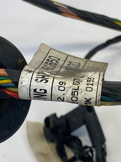 2010-2013 KIA FORTE REAR LEFT SIDE DOOR WIRE WIRING HARNESS PLUG OEM 916501M020