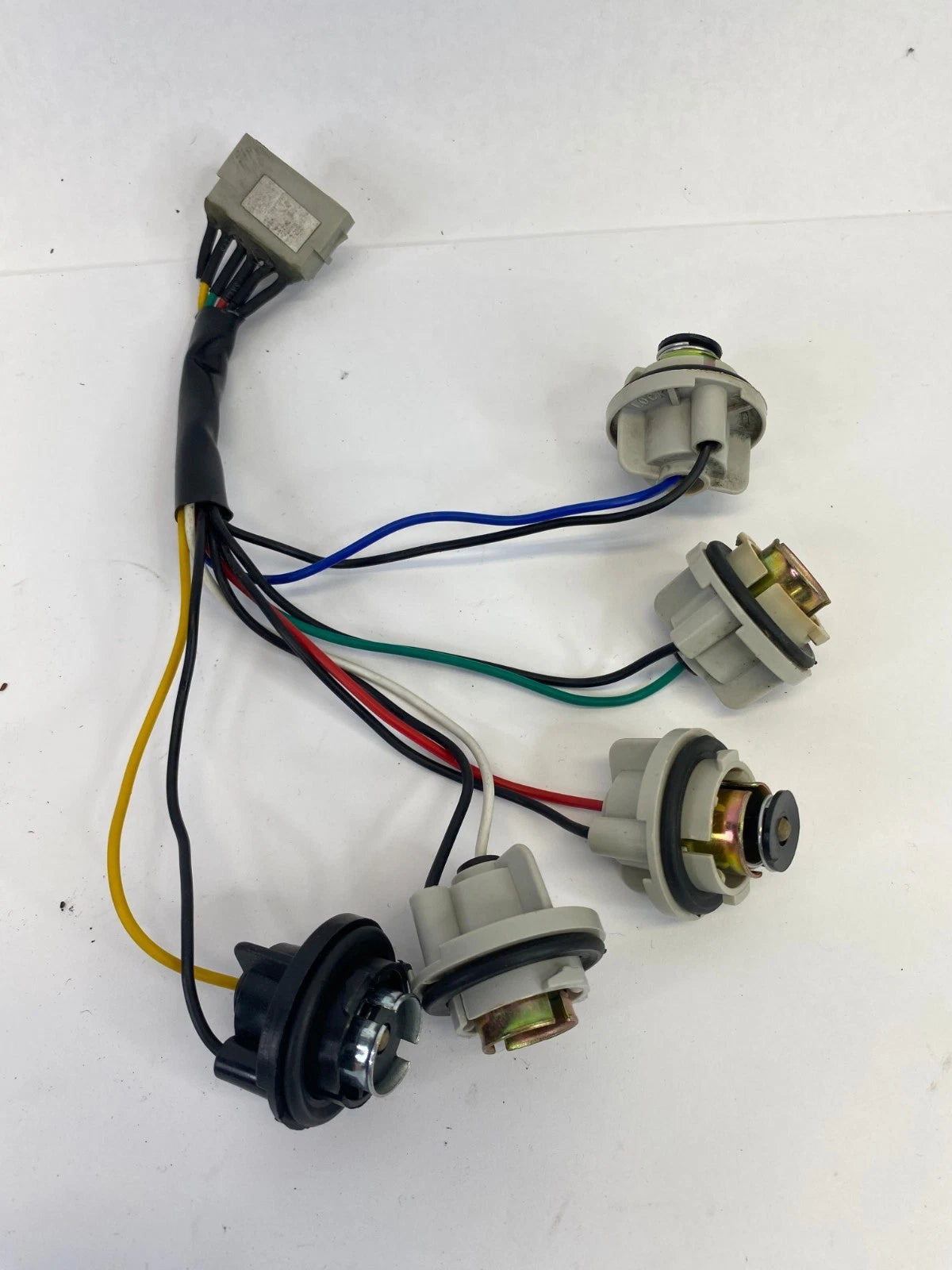 1999-2005 VW JETTA REAR TAIL LIGHT BULB SOCKET CONNECTOR WIRING HARNESS PLUG OEM