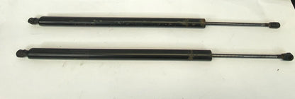 2008-2010 HONDA ODYSSEY REAR TRUNK TAILGATE LIFT SUPPORT STRUT SHOCKS SET OEM