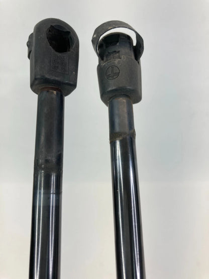03-07 HONDA PILOT TAILGATE LIFTGATE HATCH LIFT SUPPORT SHOCK STRUT PAIR SET