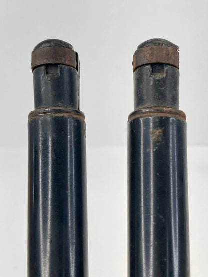 2006 2007 CADILLAC CTS REAR TAILGATE TRUNK LIFT STRUTS SHOCK SUPPORT PAIR OEM