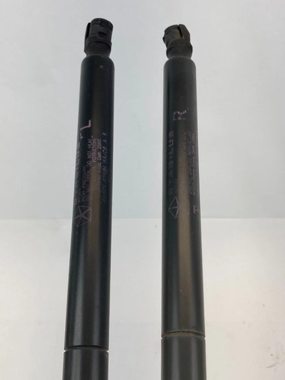 2008-2016 CHRYSLER TOWN & COUNTRY REAR LIFTGATE TAILGATE SUPPORT SHOCKS PAIR OEM