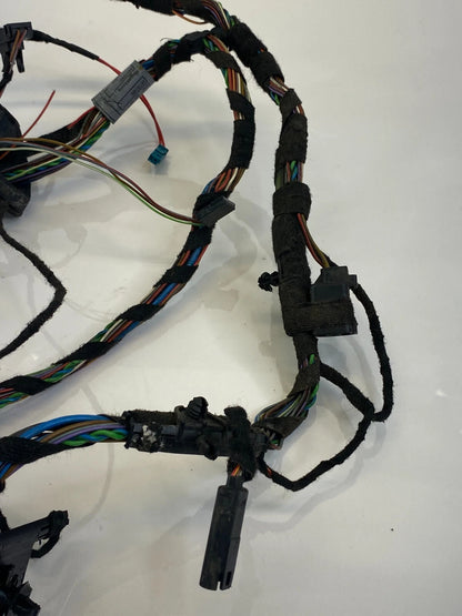 2007-2013 BMW X5 REAR RIGHT PASSENGER SIDE DOOR WIRING LOOM WIRE HARNESS OEM